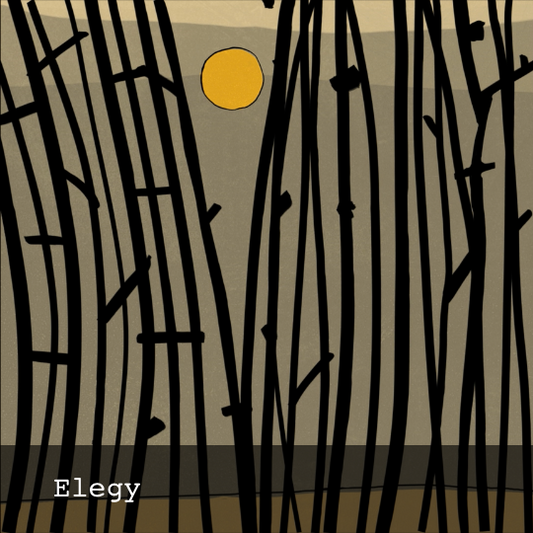 Frames - Elegy