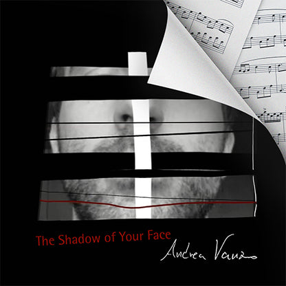 The Shadow of Your Face