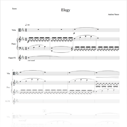 Frames - Elegy